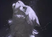 Test Ta vie de guerrier/guerrire - Partie 3 - Le nom de chaton