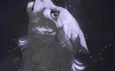 Quiz Test de personnalit