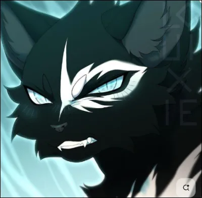 Tu es chaton. Encore petit, tu es aveugle. Deux plus grands chatons, aiment te taquiner. Toi, encore très petit, tu ne sais pas te défendre. Tu as le choix entre parler à tes parents, ou ne rien faire...
Que fais-tu ?