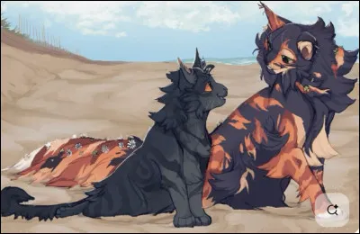 Dis-moi, quelle image préfères-tu ?