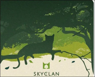 Qu'est-ce qui te représente ?