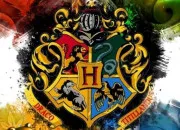 Test ''Harry Potter'' : dans quelle maison de Poudlard irais-tu ?