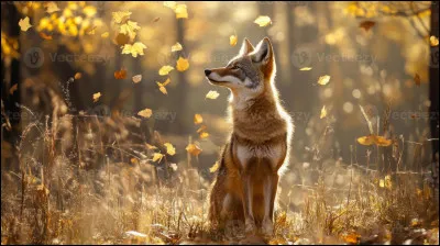 Dans le roman d'Antoine de Saint-Exupéry "Le Petit Prince", que demande le renard au Petit Prince" ?