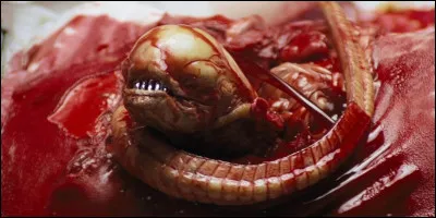 De quel film vient le "Xénomorphe" ?