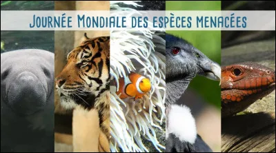 Quelle action aide vraiment à protéger les espèces menacées ?
