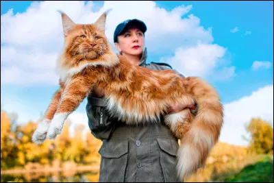 Quelle est la taille du chat le plus long ?