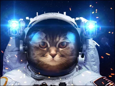 Qui est le premier chat à être allé dans l'espace ?