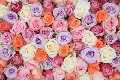 Quel assortiment de couleurs préfères-tu ?