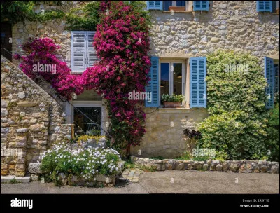As-tu des fleurs chez toi ?