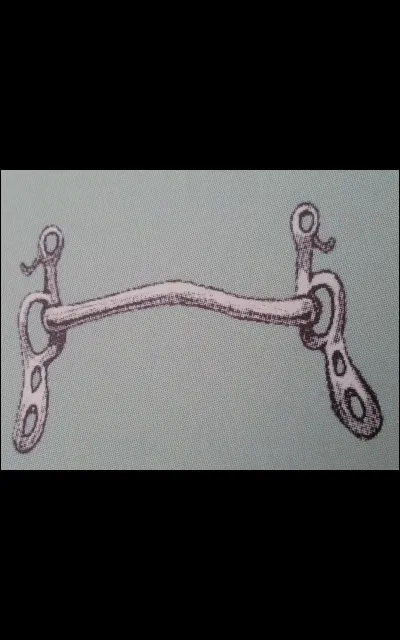 Quel est ce type de mors ?