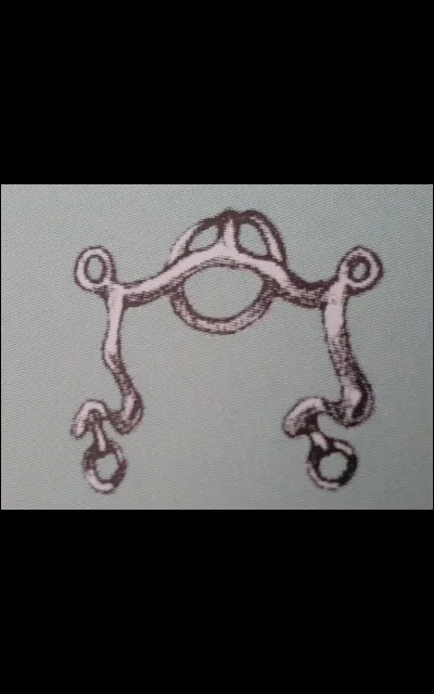 Quel est ce type de mors ?