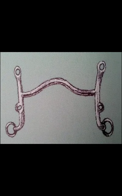 Quel est ce type de mors ?