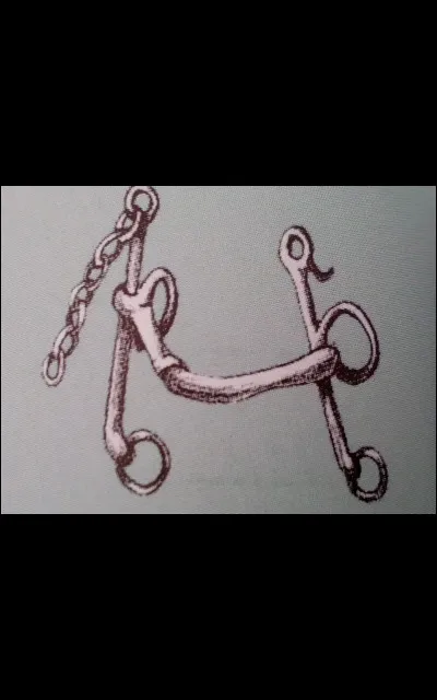 Quel est ce type de mors ?