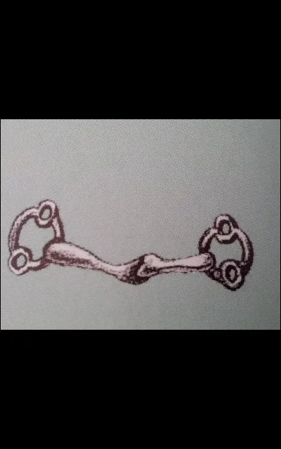 Quel est ce type de mors ?