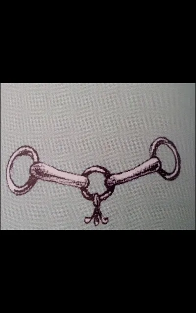 Quel est ce type de mors ?