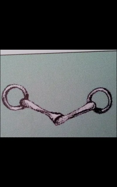 Quel est ce type de mors ?