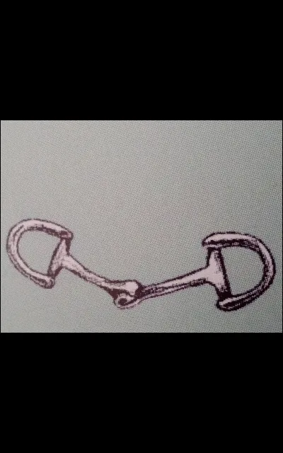 Quel est ce type de mors ?