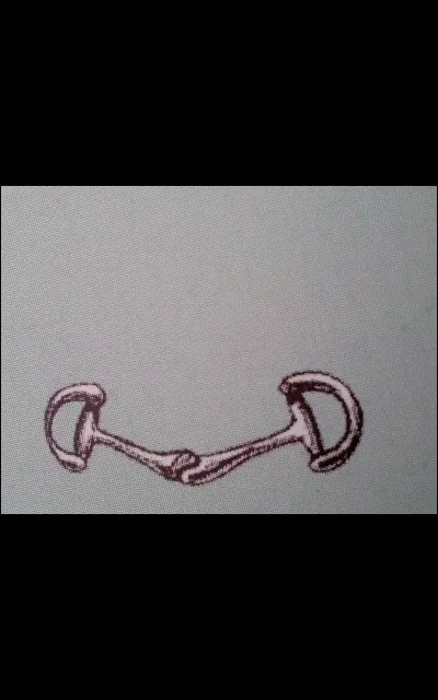 Quel est ce type de mors ?