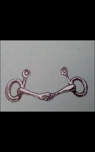 Quel est ce type de mors ?