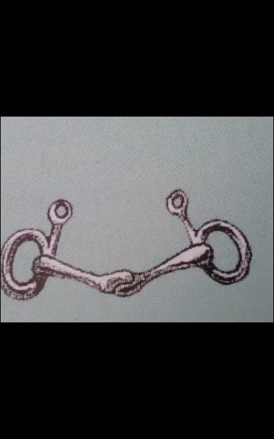 Quel est ce type de mors ?