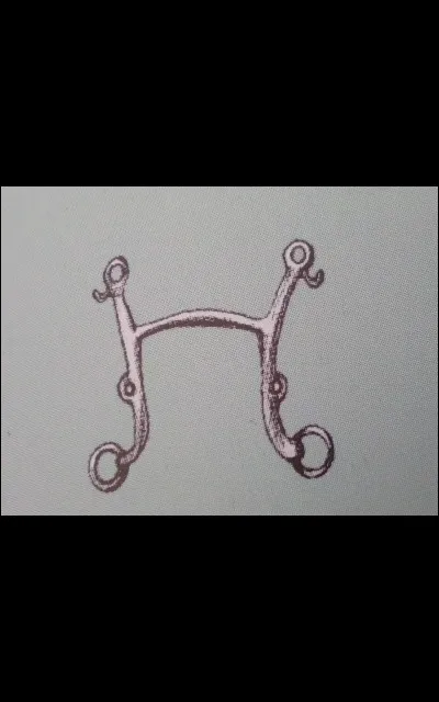 Quel est ce type de mors ?