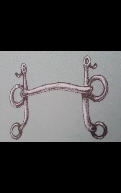 Quel est ce type de mors ?