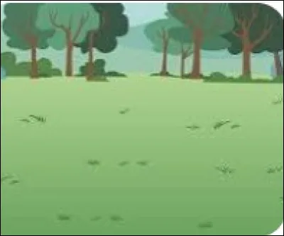 Comment est cette image ?