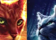 Quiz toile Bleue ou toile de Feu ?