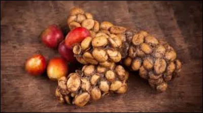 Le kopi luwak est le café le plus cher du monde : environ 280 euros les 80 grammes. Avec quel excrément danimal est-il fabriqué ?