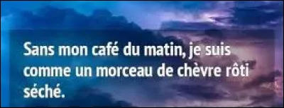 Et nous clôturons ce quiz par une petite citation. Quel compositeur a dit : ''Sans mon café du matin, je suis comme un morceau de chèvre rôti séché.'' ?