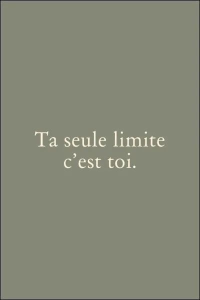 Quelle phrase te correspond le plus ?