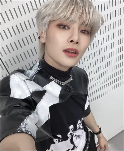 Quelle idole préfères-tu ?