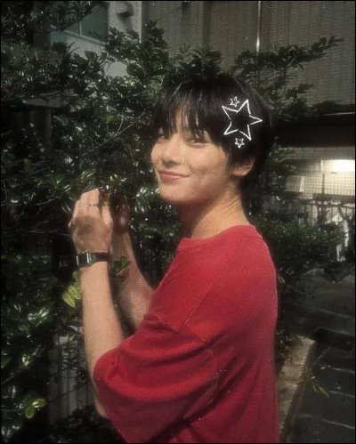 Quel rôle principal aimerais-tu avoir dans un groupe de K-pop ?