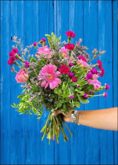 Dans sa chanson "Siffler sur la colline", avec quoi Joe Dassin doit-il aller siffler sur la colline ?