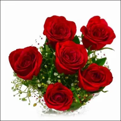 "Les copains m'appellent six roses / Et je ne comprends pas pourquoi / Pourquoi, pourquoi, pourquoi / Bien sûr ils savent que j'aime les fleurs / Mais pourquoi justement six roses / Plutôt que une ou deux ou trois / Pourtant papa s'appelait pas six roses / Puisqu'on l'appelait bois sans peur / Sans peur, sans peur, sans peur / Grand-père on l'appelait la liqueur / Tonton, c'était l'irrigateur / J'vois pas l'rapport avec les fleurs...". Je vous ai donné quelques extraits d'une chanson peu connue. Qui en est l'interprète ?