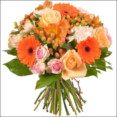 Voici deux extraits d'une chanson : "Un bouquet d'fleurs à la main, il sort du magasin, il avance de bon coeur / Où va donc cet humain qui porte un bouquet d'fleurs..." - "Un bouquet d'fleurs à la main, il sait trop l'chemin, il va rentrer chez lui / Pourquoi donc cet humain s'est acheté des soucis...". Qui est l'auteur, compositeur et interprète de cette chanson ?