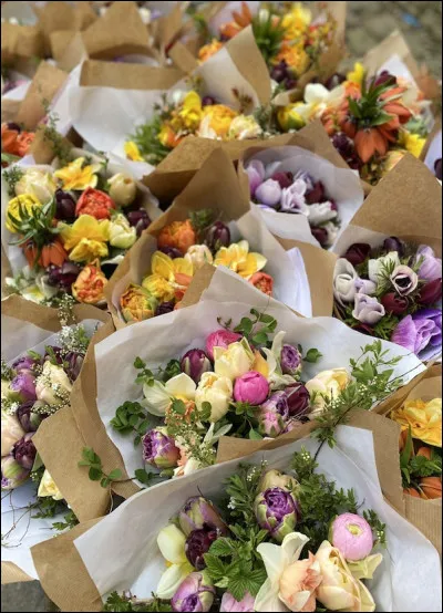 " Nice, promenade des anglais / Mimosa et bleuets / Anémones, chrysanthèmes, muguet pour dire je t'aime / Nice, des murs de marguerites / Et quelques phrases écrites / Au milieu des tulipes / Adieu à Jean-Philippe / Ils ont les actes d'horreur / Et nous, et nous / Les bouquets de fleurs...". Qui est l'auteur et interprète de cette chanson "Les Bouquets de fleurs" ?