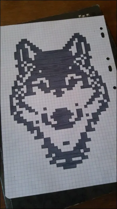 Quel animal est-ce ?