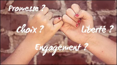 Quel(le)s candidat(e)s doivent généralement se faire élire sur des promesses ?