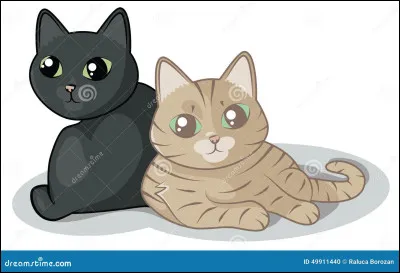 &Agrave; quelle famille de mammif&egrave;res appartiennent les chats ?