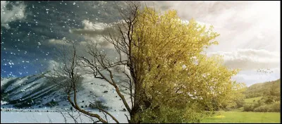 Est-ce que tu préfères l'hiver ou l'été ?