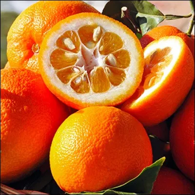 Quel produit à base de fruits est préparé originellement à partir de jus et de zeste bouillis avec du sucre ?