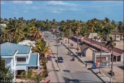 Comment s'appelle cette ville de Madagascar qui a donné son nom à une race de chiens ?