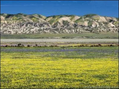 Quel nom donne-t-on à la vaste plaine très fertile d'Argentine ?