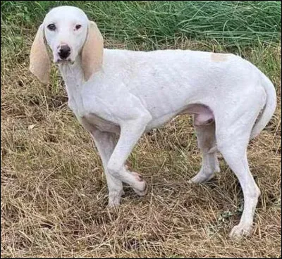 Où travaillait un englobeur ?