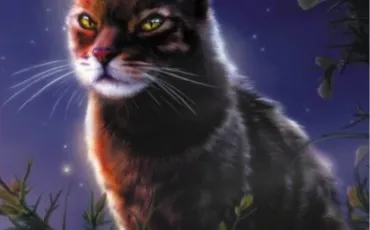 Quiz Littérature, poésie