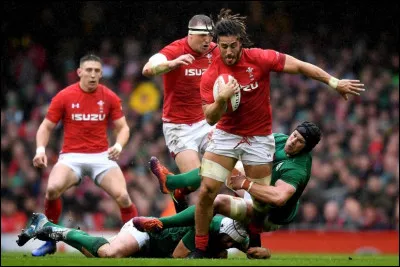 Quel est l'emblème national du Pays de Galles au rugby ?