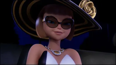 Quel super-héros ne participe pas à la mission contre le super-vilain akumatisé, aux côtés des autres membres de léquipe des Miraculeurs ?