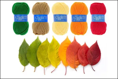 Quelles couleurs préfères-tu ?