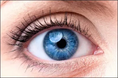 As-tu les yeux bleus ?